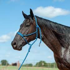 Braided mule tape halter