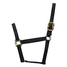 Standard nylon web halter