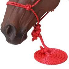 Poly Rope Tied halter w/Lead