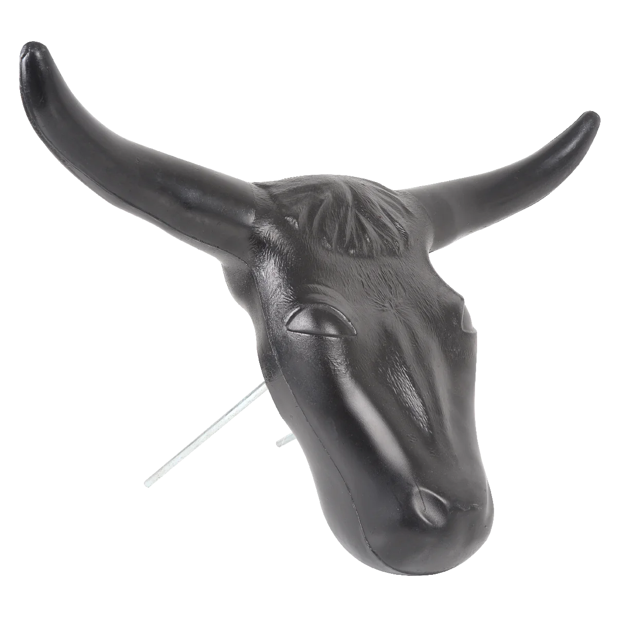 Steer Head