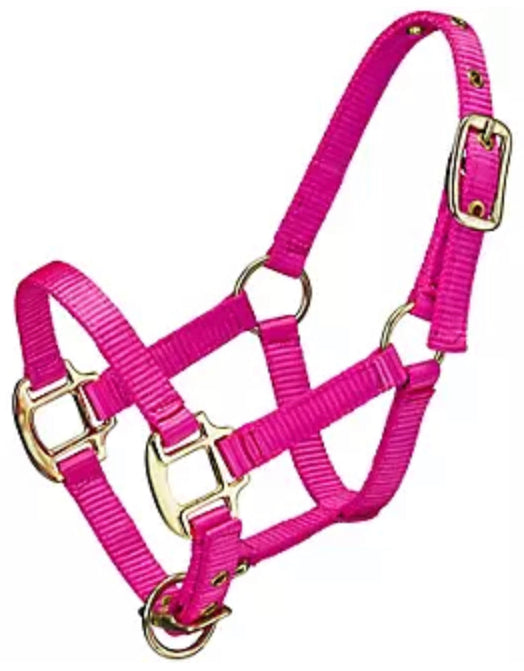 Adjustable Halter- Mini Horse