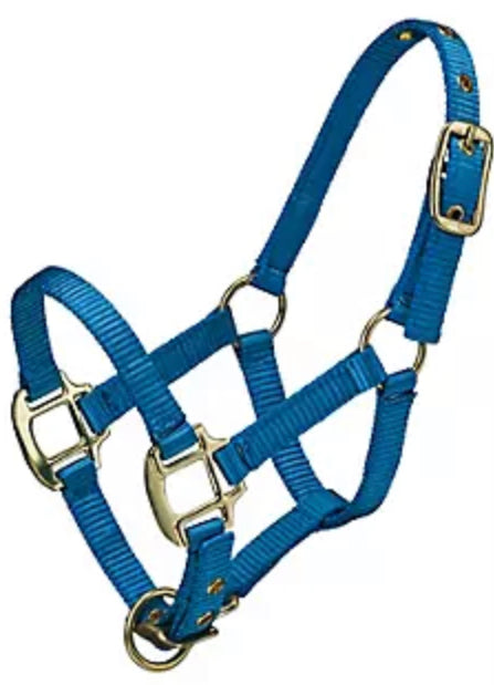 Adjustable Halter- Mini Horse
