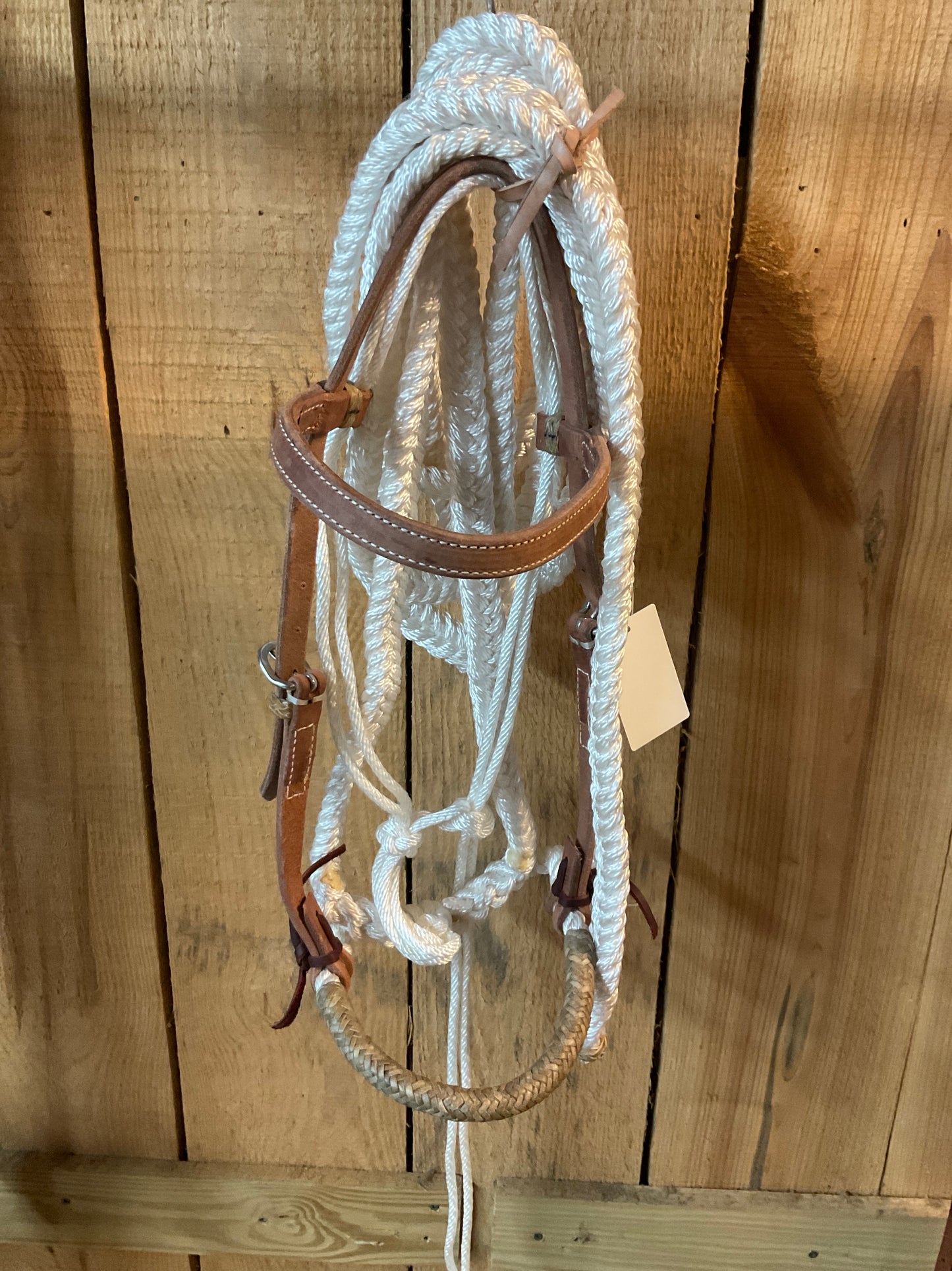 Hackamore w/nylon reins