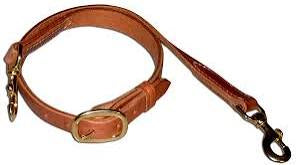 Leather Tie Down 1x40” oiled