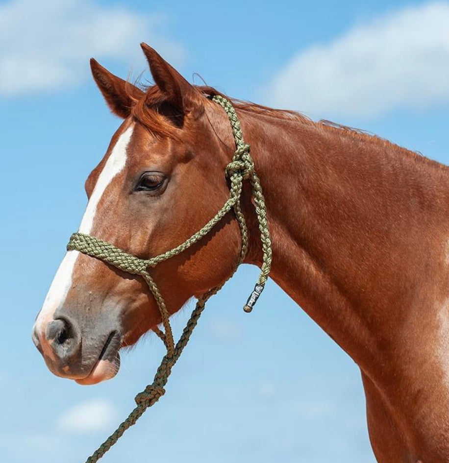 Braided mule tape halter