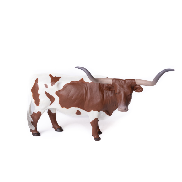 Texas longhorn