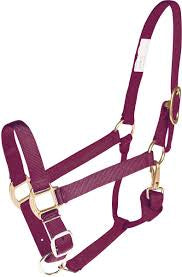 Standard nylon web halter