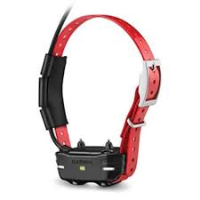 Tb10 dog collar