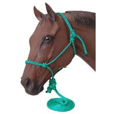 Poly Rope Tied halter w/Lead