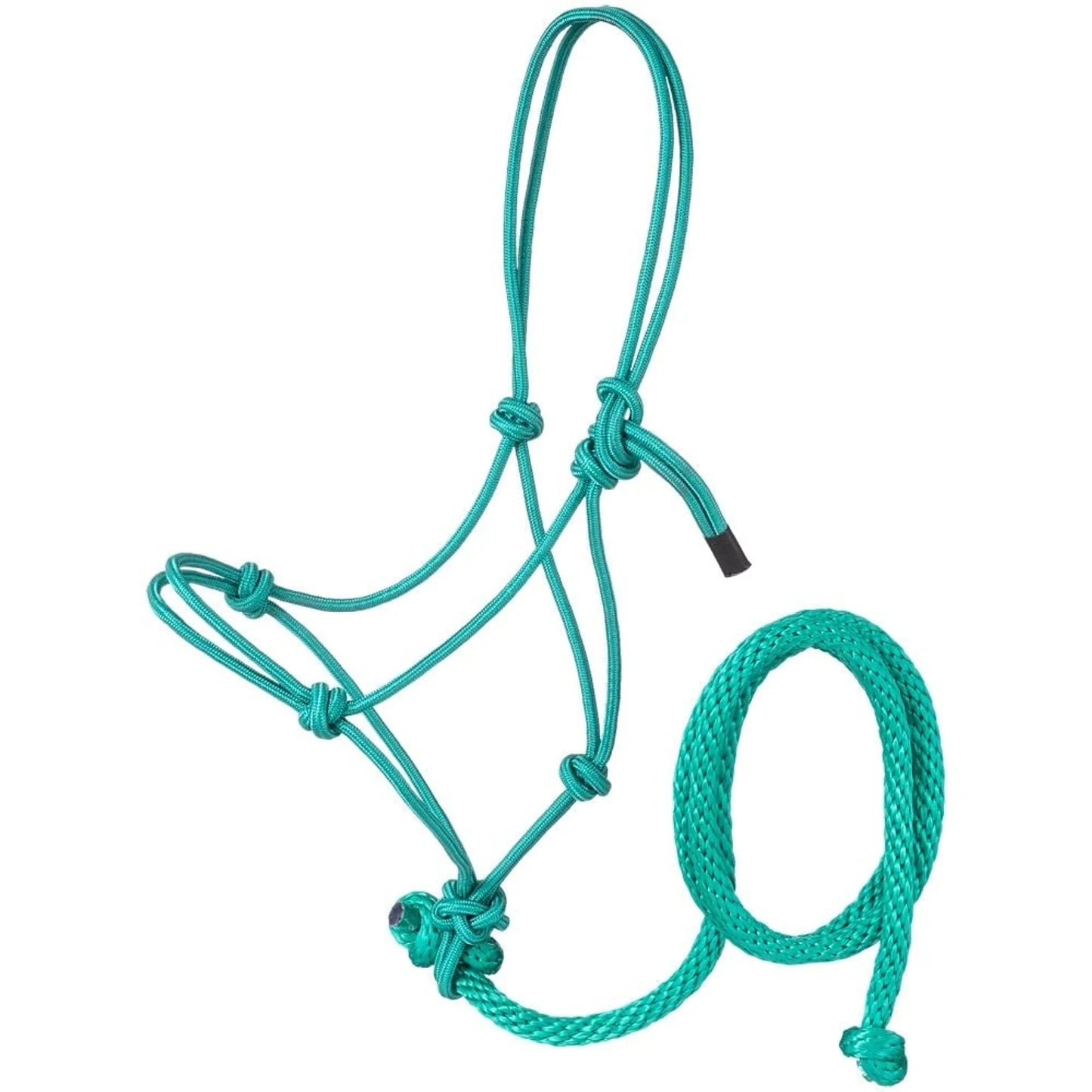 pony tied halter with lead