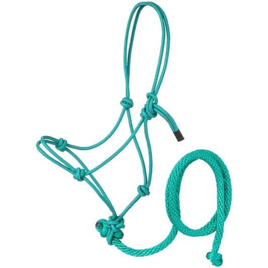 pony tied halter with lead