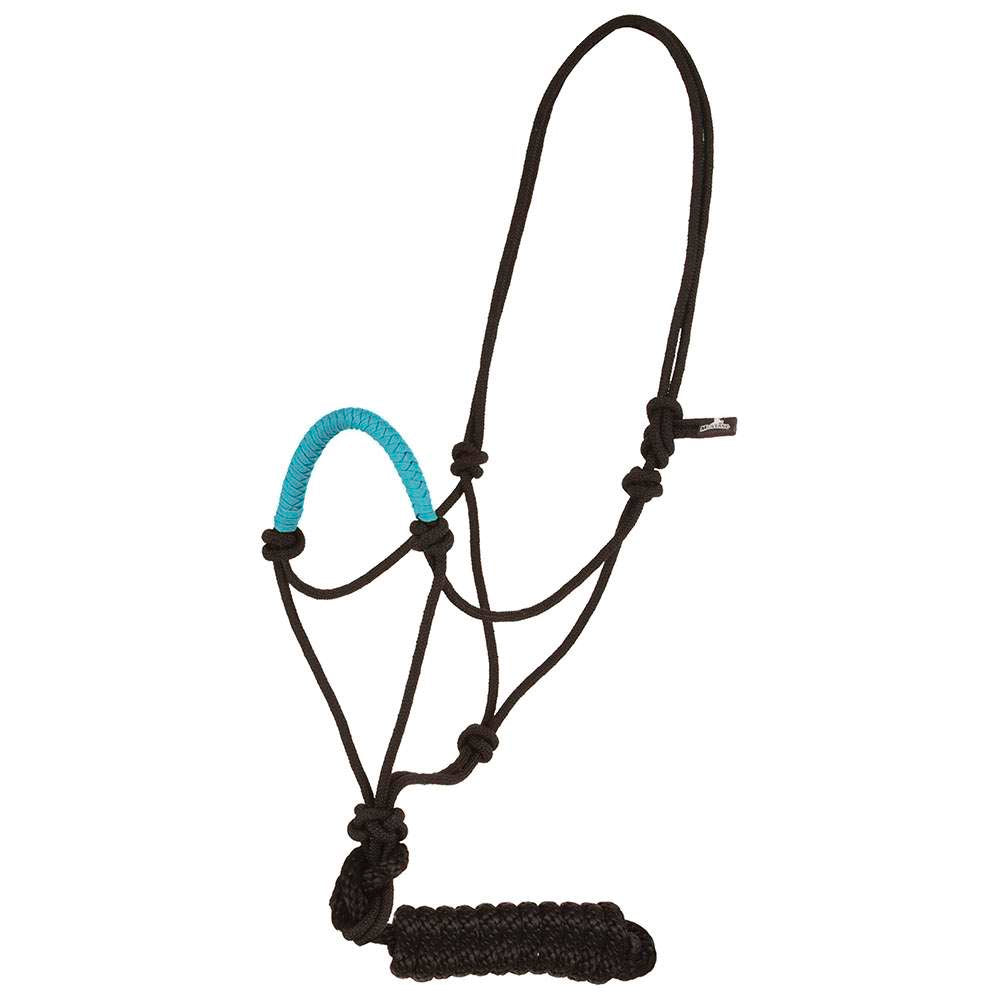 Rope halter with colored nose band