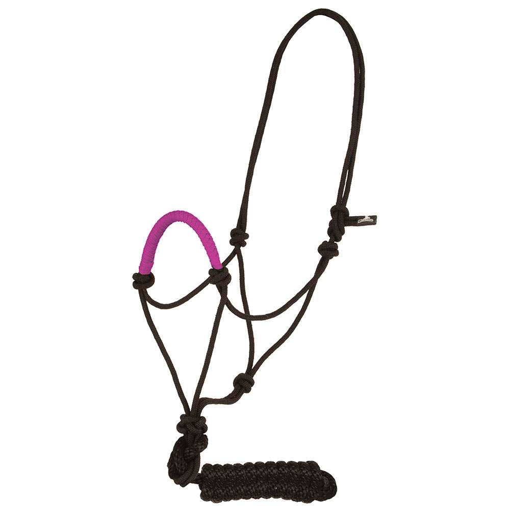 Rope halter with colored nose band