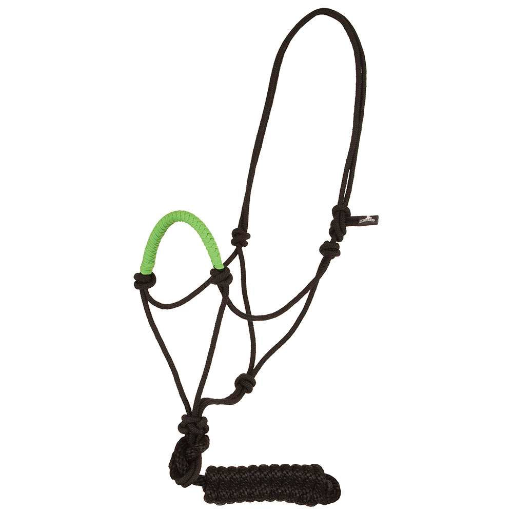 Rope halter with colored nose band