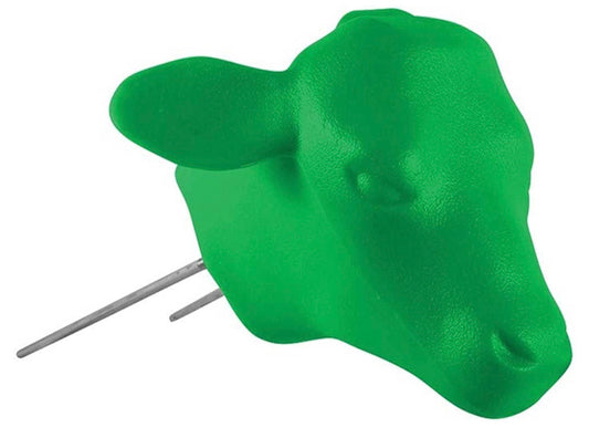 Calf head